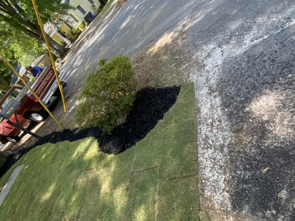 Expert landscaping services experts serving Columbia, SC - Turf Dogs Landscaping