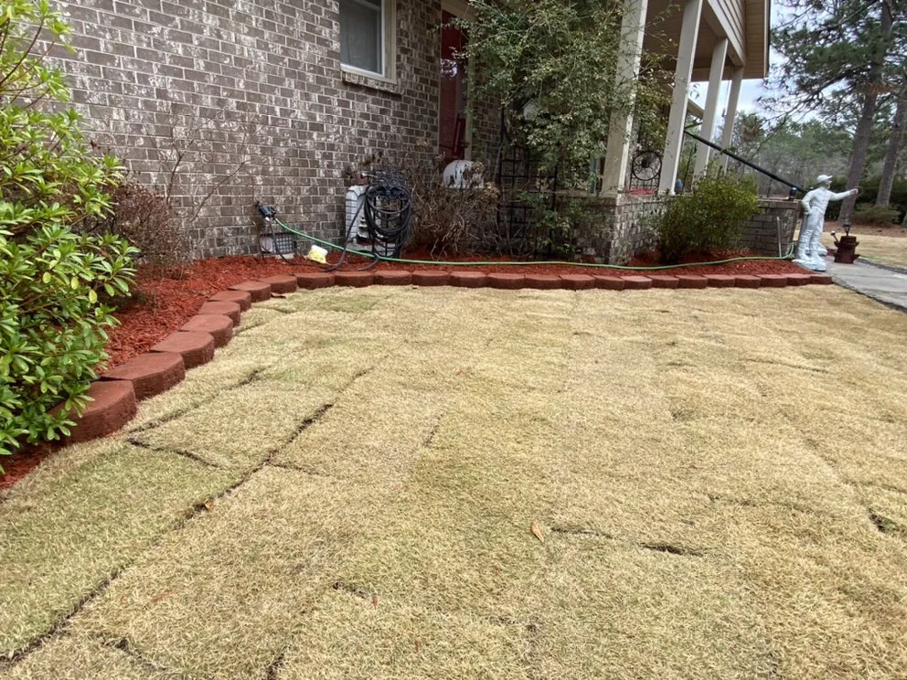 Expert residential landscaping in Columbia, SC by Turf Dogs Landscaping
