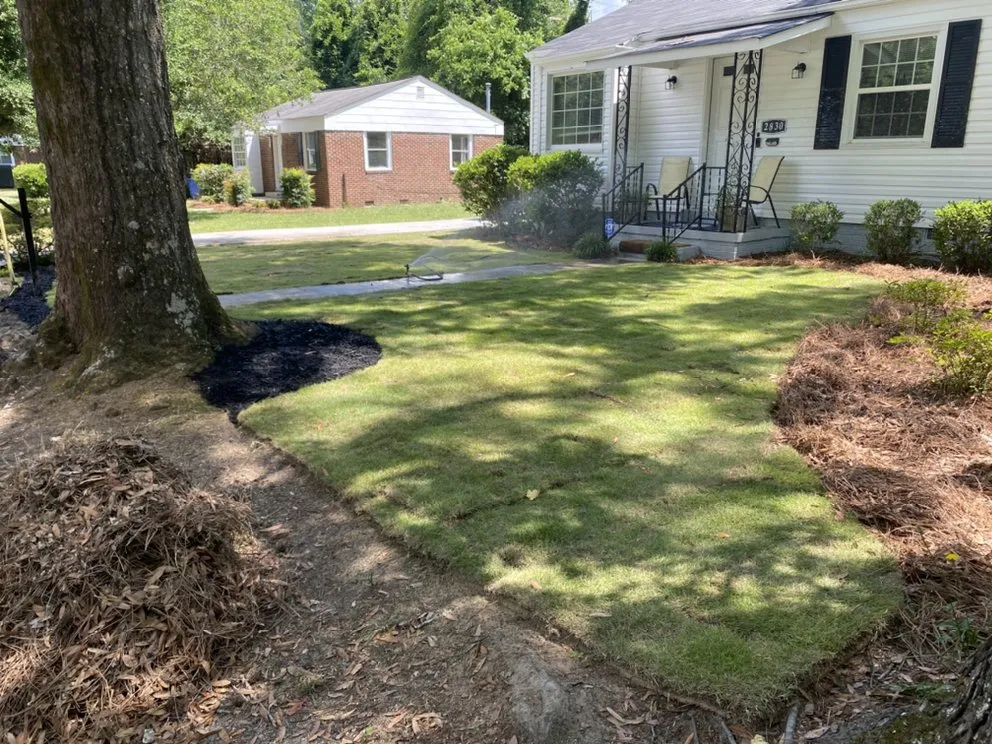 Reliable yard cleanup service near you across Columbia, SC - Turf Dogs Landscaping