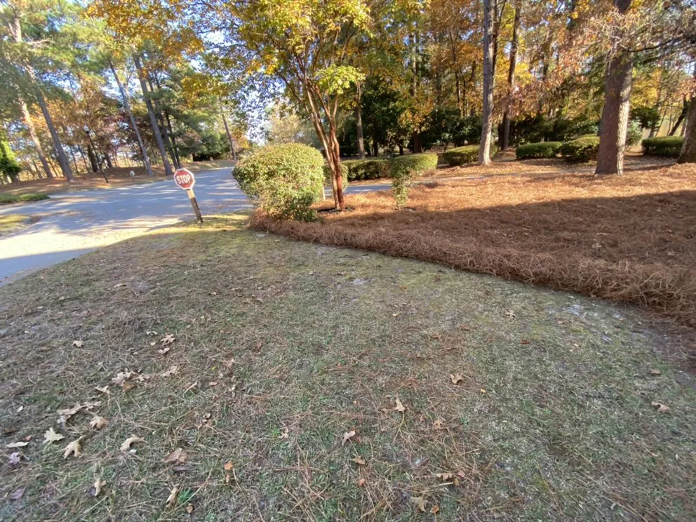Custom yard maintenance in Columbia, SC - Turf Dogs Landscaping