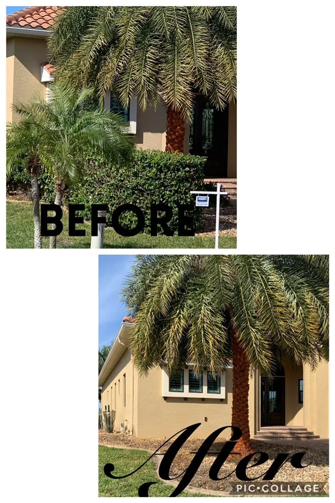 Trusted yard maintenance in North Port, FL - Turf Enough Lawn Care