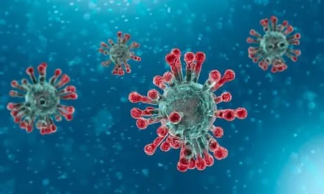 Custom landscape installation experts serving North Port, FL - Turf Enough Lawn Care