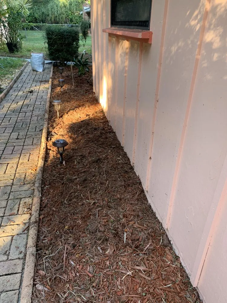 Professional yard maintenance experts serving North Port, FL - Turf Enough Lawn Care