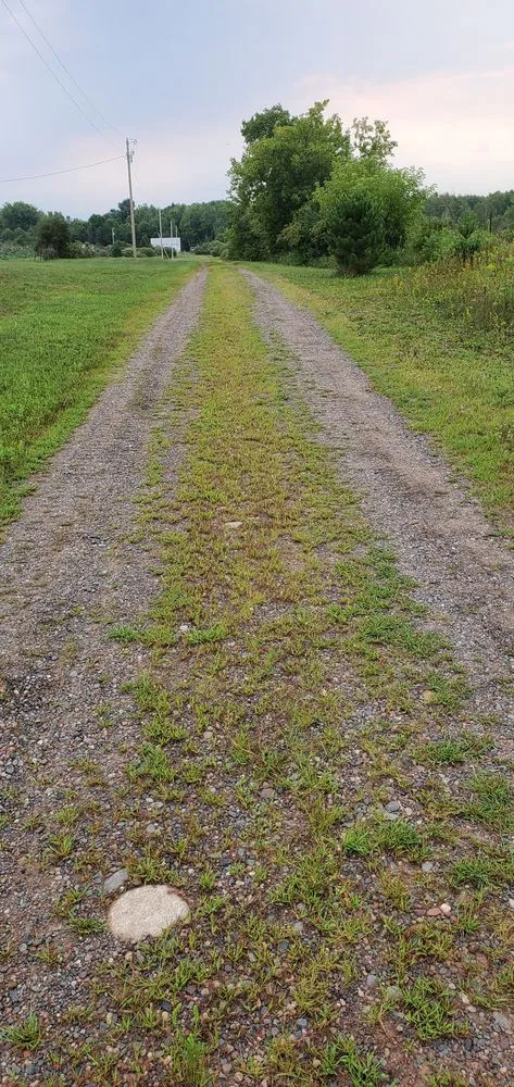 Top-rated outdoor landscaping in Elk River, MN - Turf Enterprise Inc.