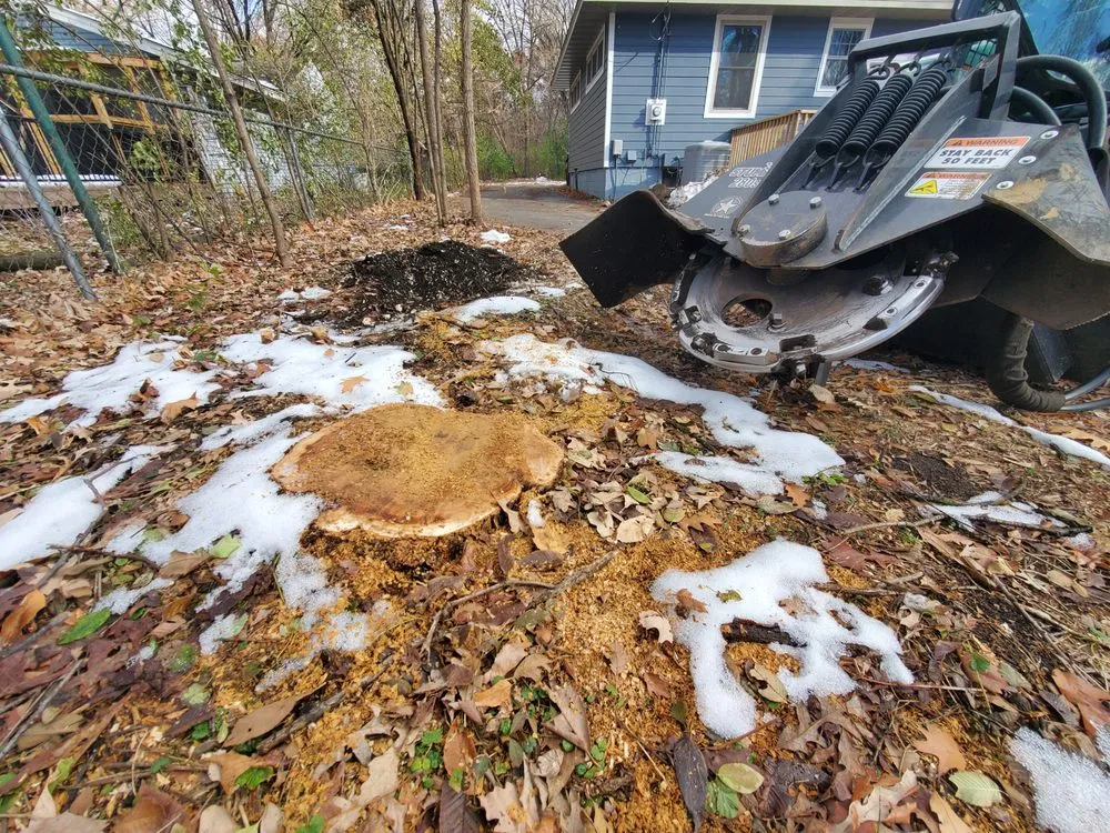 Local lawn mowing service experts serving Elk River, MN - Turf Enterprise Inc.