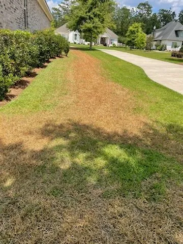 Affordable lawn care service for residential properties across Silverhill, AL - Turf Experts