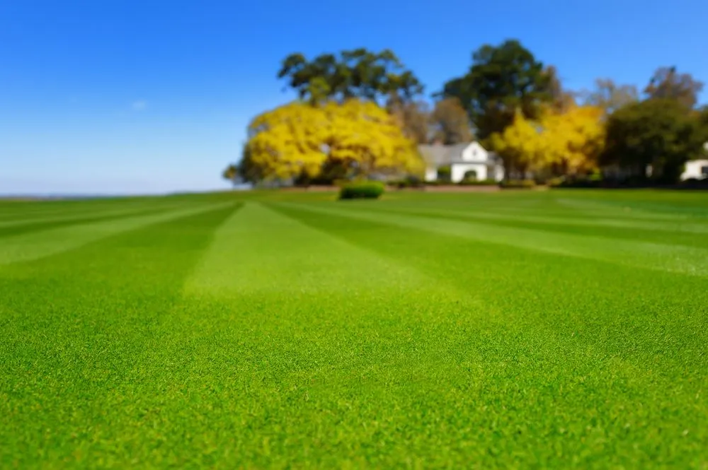 Reliable lawn mowing service in Silverhill, AL - Turf Experts