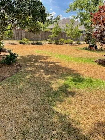 Local lawn care service in Silverhill, AL - Turf Experts