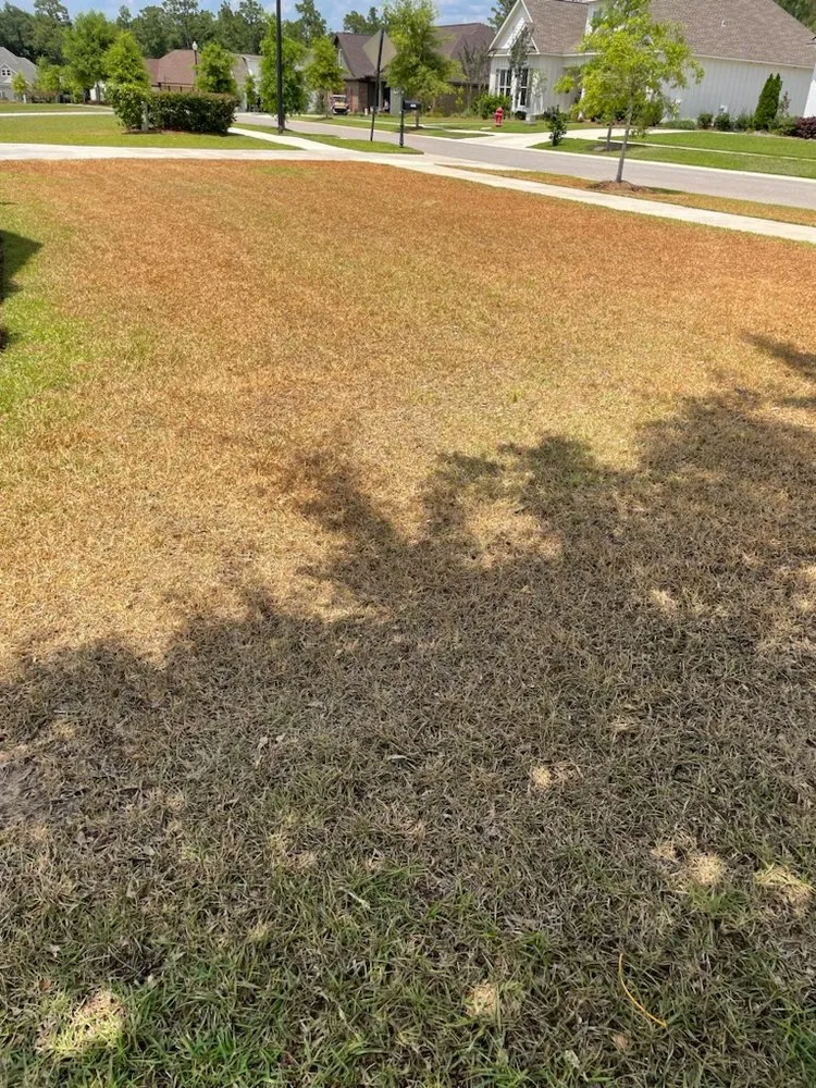 Local landscape installation for outdoor upgrades across Silverhill, AL - Turf Experts