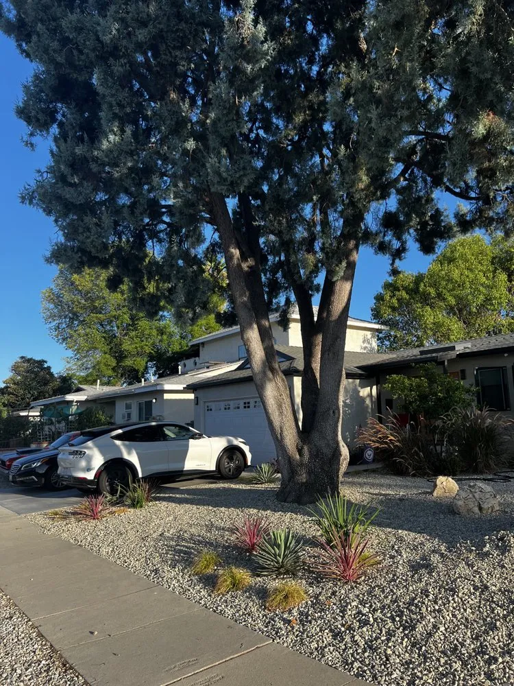 Top-rated lawn mowing service experts serving Los Angeles, CA - Turf Express