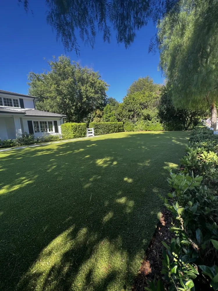 Affordable yard cleanup service near you in Los Angeles, CA by Turf Express