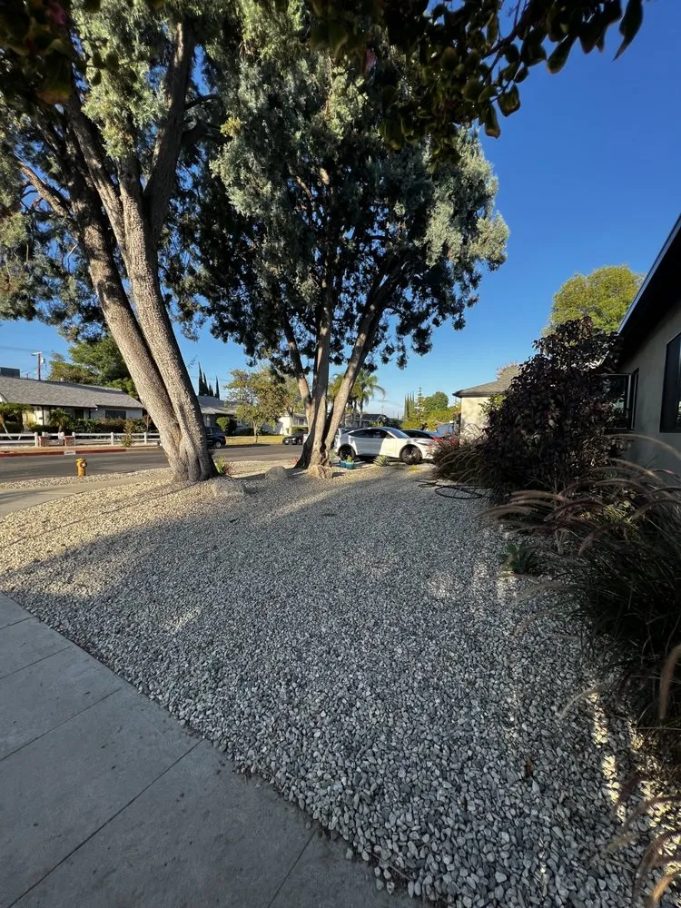 Local outdoor landscaping for year-round maintenance across Los Angeles, CA - Turf Express