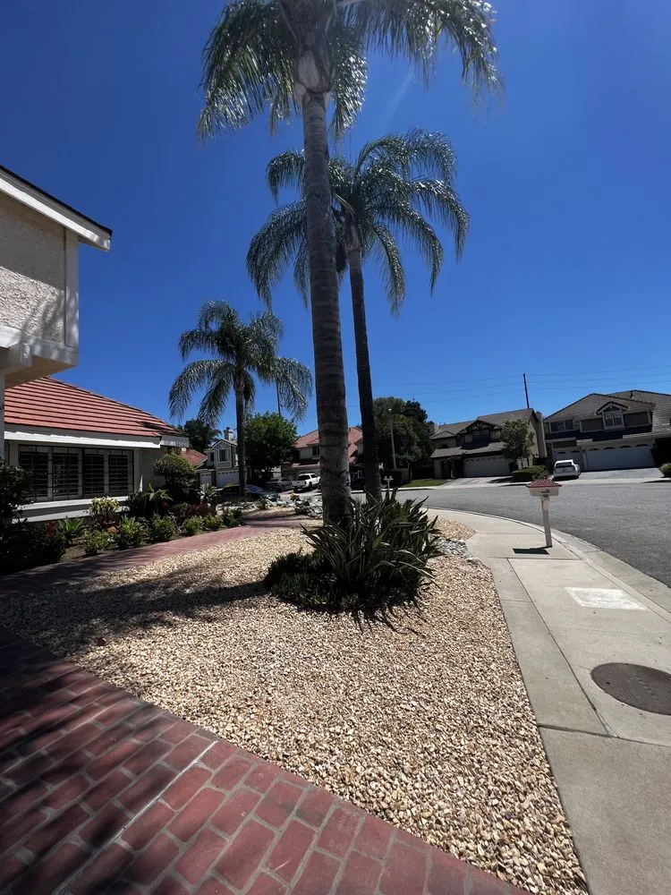 Custom landscape design experts serving Los Angeles, CA - Turf Express