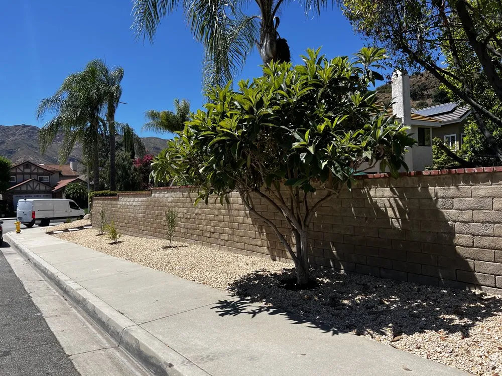 Top-rated lawn mowing service in Los Angeles, CA - Turf Express