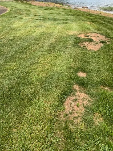 Professional outdoor landscaping experts serving Asheboro, NC - Turf Fashions