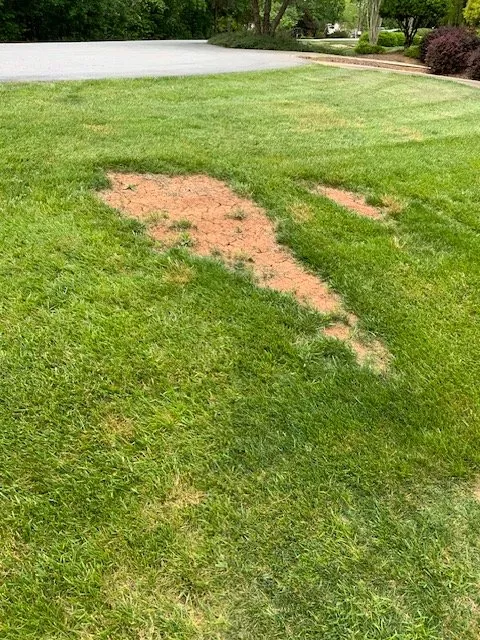 Custom landscape design in Asheboro, NC by Turf Fashions