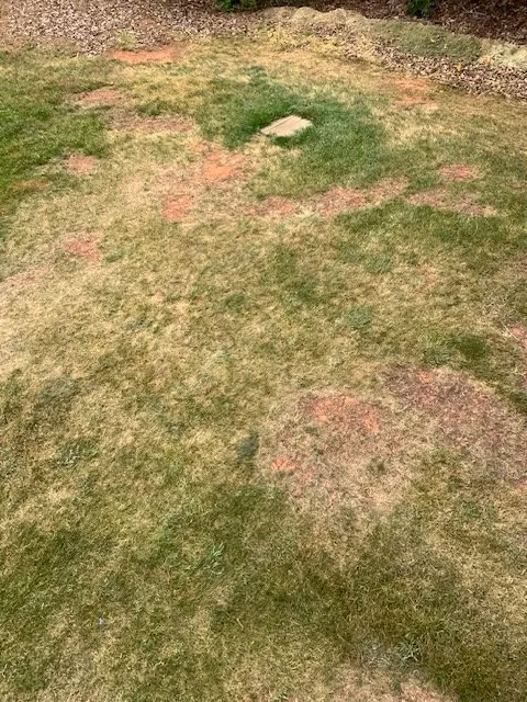 Professional lawn mowing service experts serving Asheboro, NC - Turf Fashions