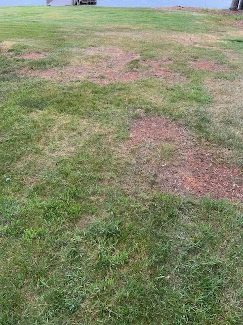 Expert landscape design in Asheboro, NC by Turf Fashions