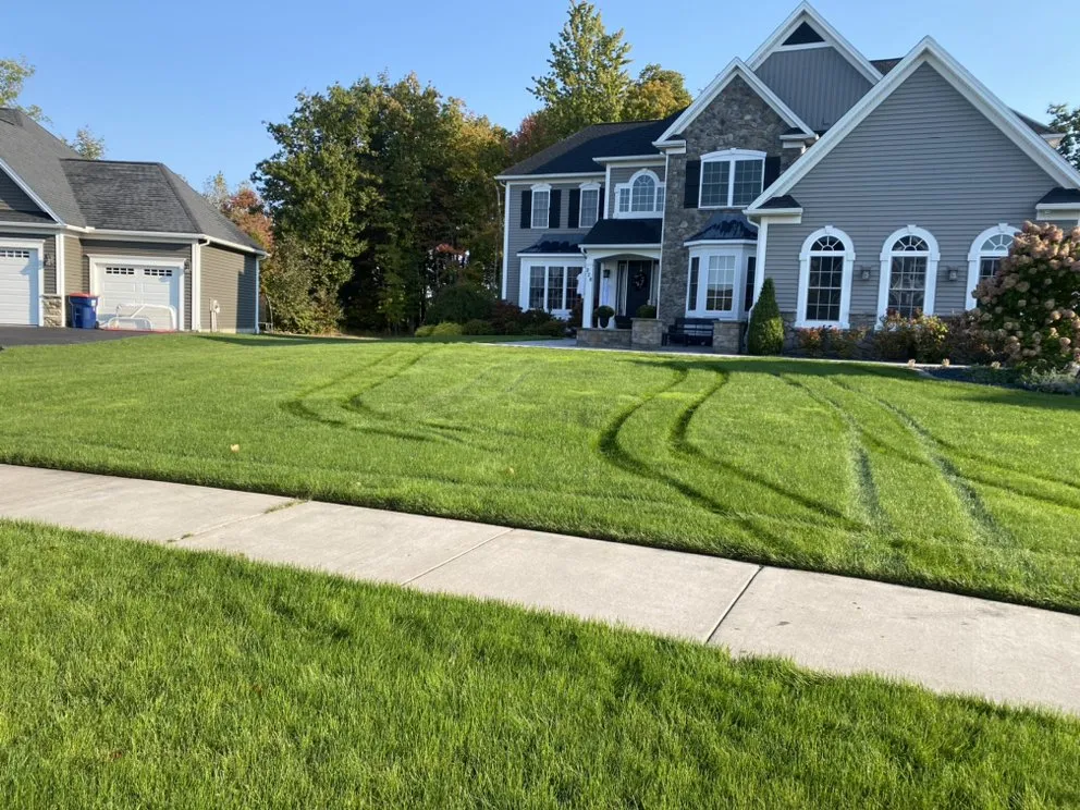 Expert yard maintenance in Pittsford, NY - Turf General