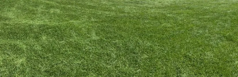 Custom landscape installation with custom design in Pittsford, NY by Turf General