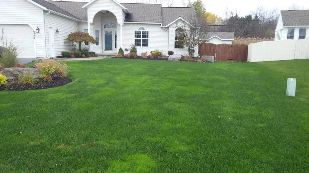 Affordable lawn care service in Cicero, NY by Turf Genie