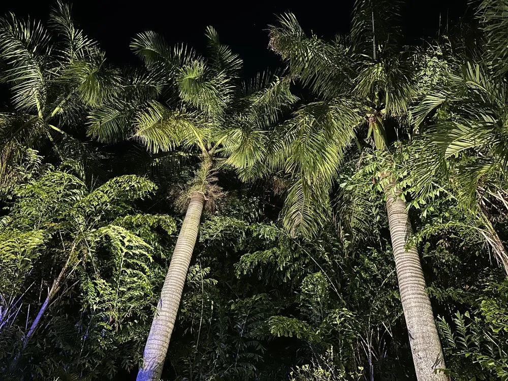 Top-rated garden landscaping near you in Pompano Beach, FL by Turf Grass & Landscape