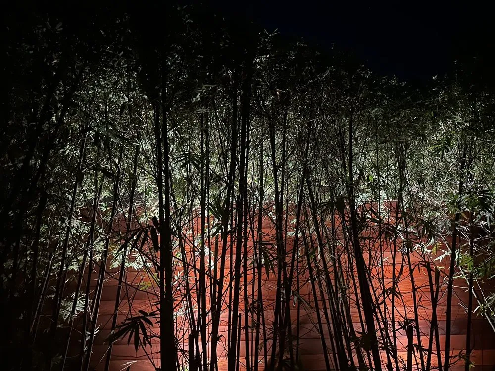 Affordable yard cleanup service in Pompano Beach, FL - Turf Grass & Landscape