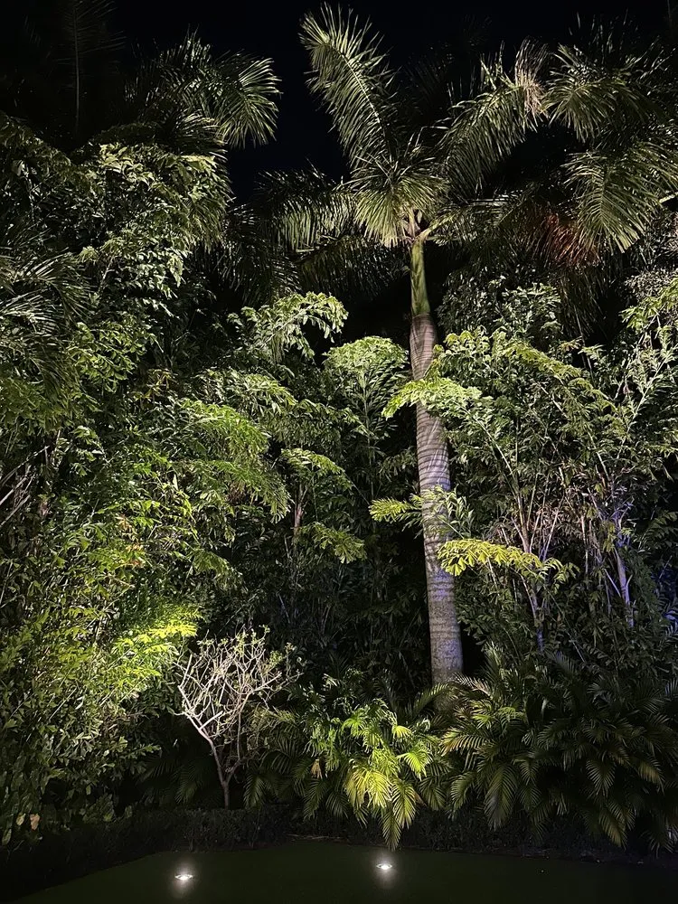 Top-rated yard cleanup service in Pompano Beach, FL - Turf Grass & Landscape