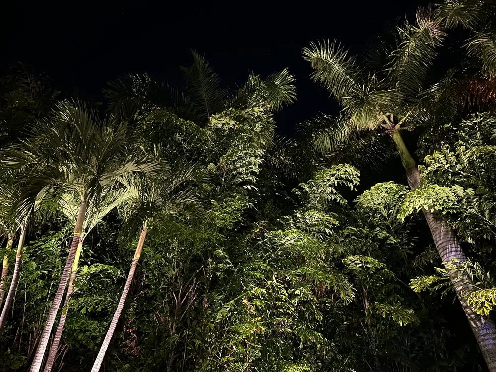 Affordable landscaping services near you across Pompano Beach, FL - Turf Grass & Landscape