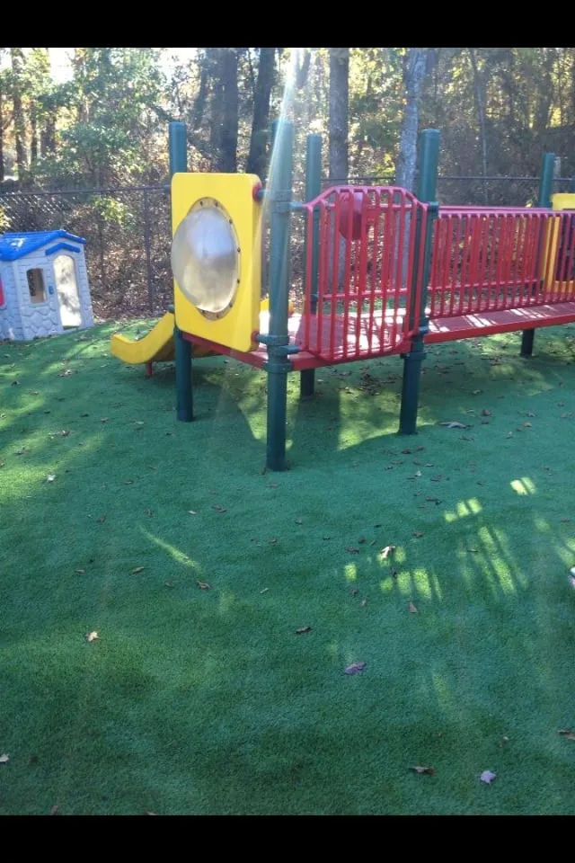 Top-rated yard cleanup service with custom design across Calhoun, GA - Turf Grass Factory