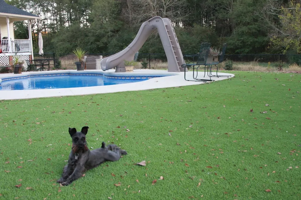 Reliable residential landscaping near you across Calhoun, GA - Turf Grass Factory