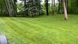 Trusted residential landscaping in Binghamton, NY - Turf Green Lawn Care