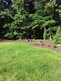 Expert yard cleanup service in Binghamton, NY by Turf Green Lawn Care