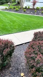 Top-rated outdoor landscaping in Binghamton, NY - Turf Green Lawn Care