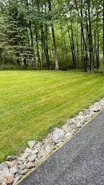 Expert yard cleanup service for residential properties in Binghamton, NY by Turf Green Lawn Care