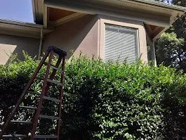 Local residential landscaping in Binghamton, NY - Turf Green Lawn Care