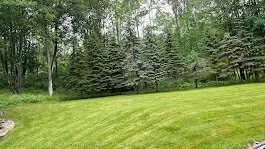 Reliable lawn mowing service near you across Binghamton, NY - Turf Green Lawn Care