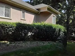 Custom lawn mowing service in Binghamton, NY - Turf Green Lawn Care