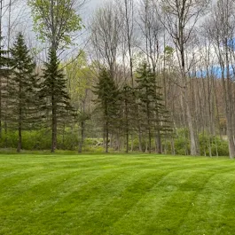 Top-rated landscape installation in Binghamton, NY by Turf Green Lawn Care