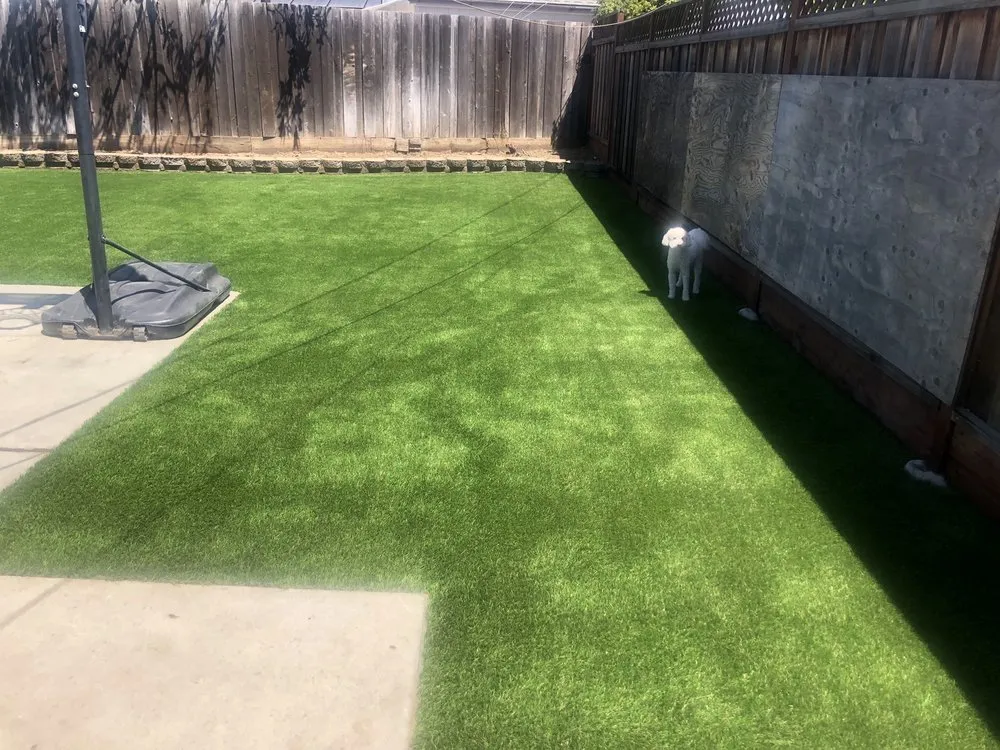Top-rated landscaping services experts serving San Jose, CA - Turf Greens Installation