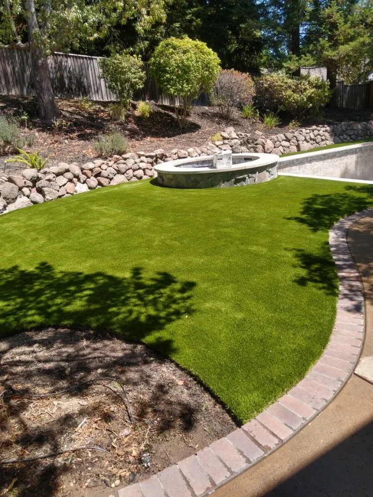 Custom yard maintenance in San Jose, CA - Turf Greens Installation