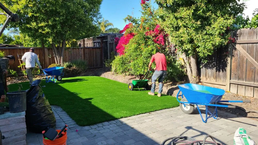 Local lawn mowing service with custom design in San Jose, CA by Turf Greens Installation