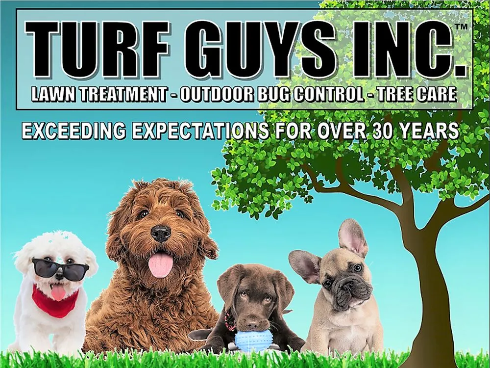 Expert yard cleanup service in Lake Zurich, IL - Turf Guys