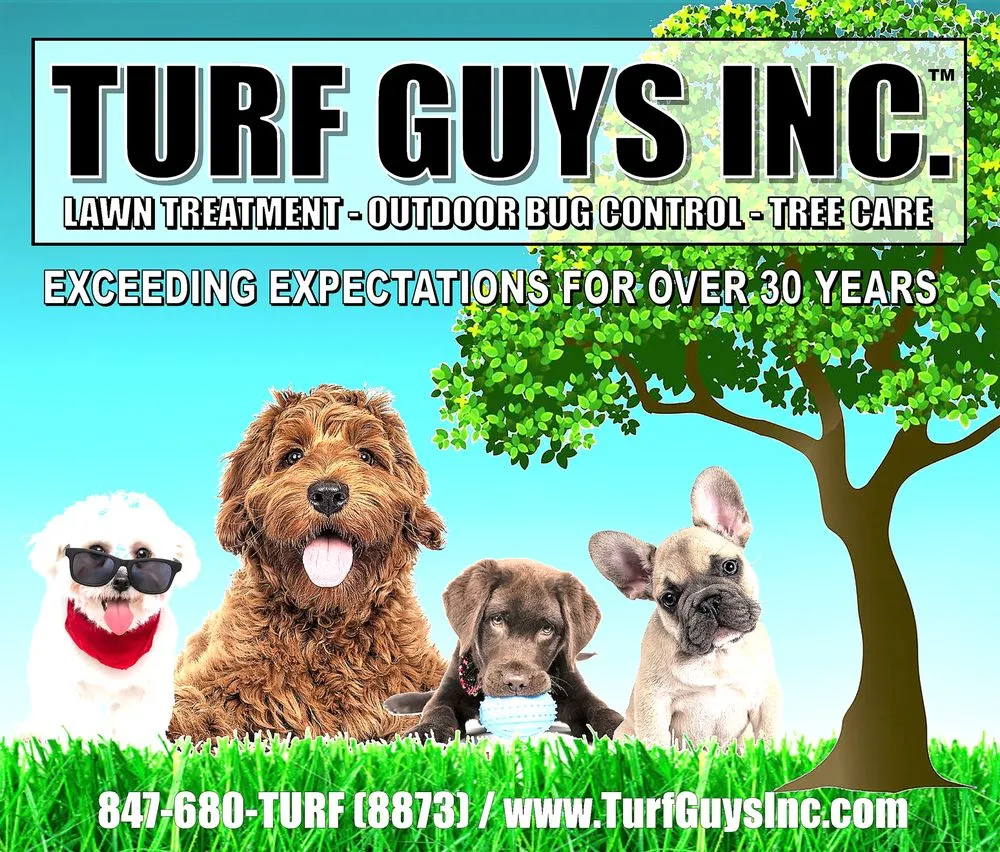 Custom lawn care service for outdoor upgrades across Lake Zurich, IL - Turf Guys