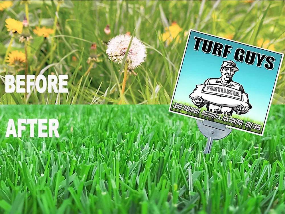 Local lawn care service near you in Lake Zurich, IL by Turf Guys