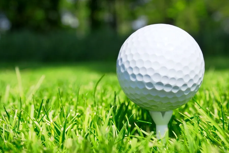 Reliable landscape design for outdoor upgrades across Lake Zurich, IL - Turf Guys