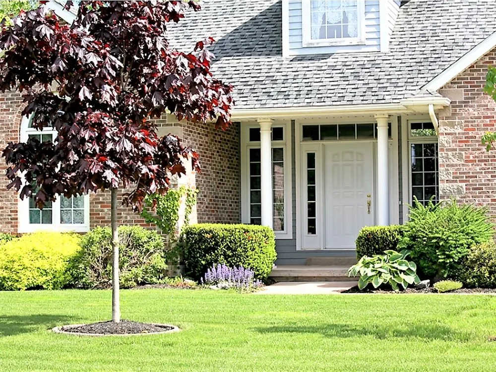 Top-rated outdoor landscaping experts serving Lake Zurich, IL - Turf Guys