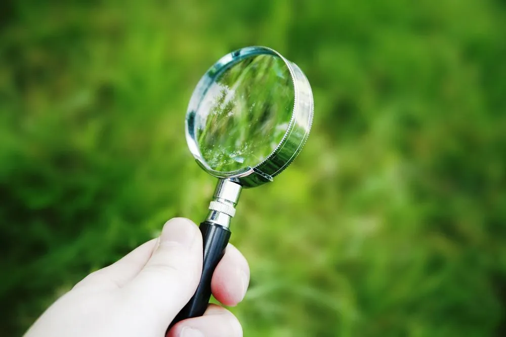 Professional landscape installation for homes across Lake Zurich, IL - Turf Guys