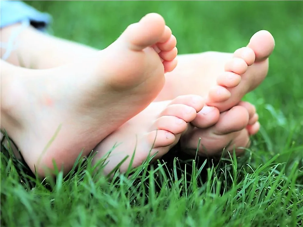 Custom lawn care service experts serving Lake Zurich, IL - Turf Guys