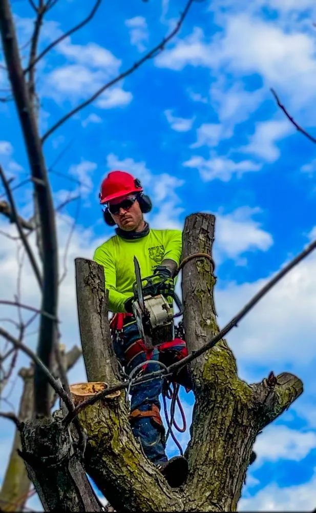 Affordable outdoor landscaping for beautiful yards across Manchester, MO - Turf Guys Lawn and Landscape
